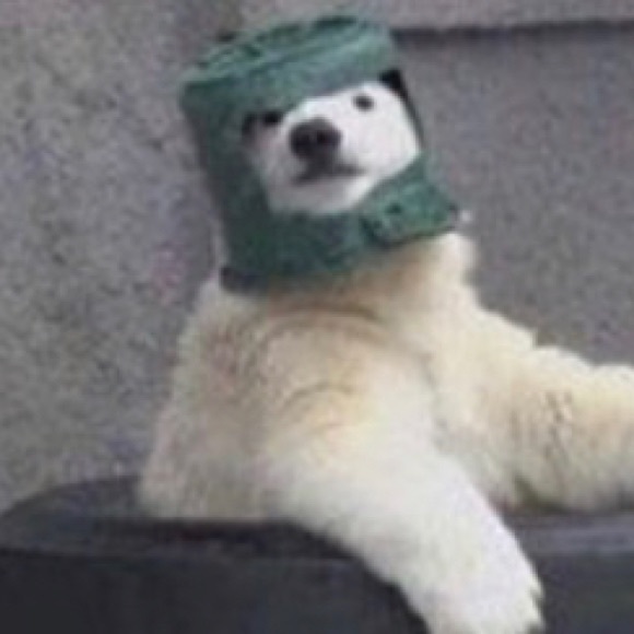 Meet your Posher, Daria - Picture 1 of 1